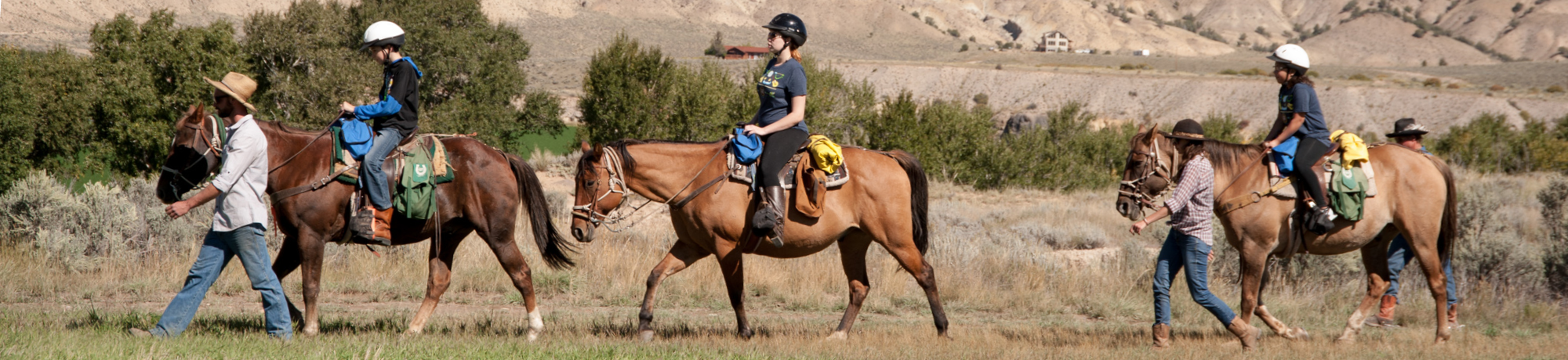 equestrian program - campers on horses in field