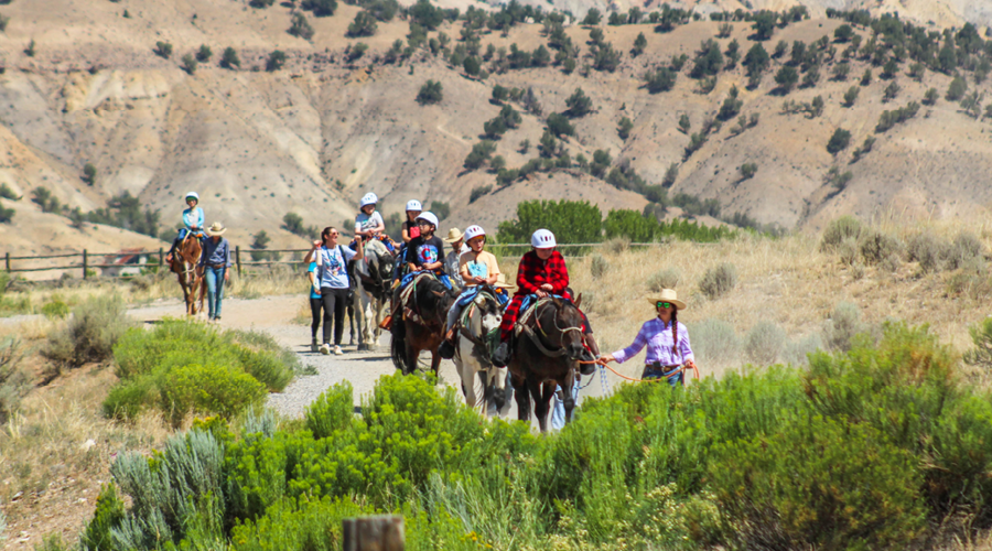 Volunteers leading horses and campers through landscape